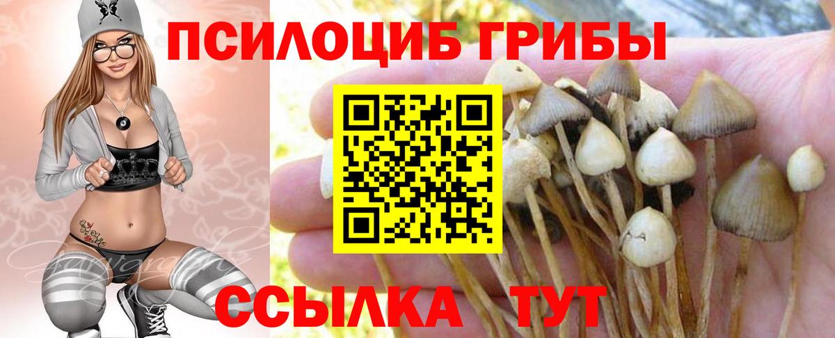 купить закладку  Вход с VPN  Усинск  Псилоцибиновые грибы мухоморы 
